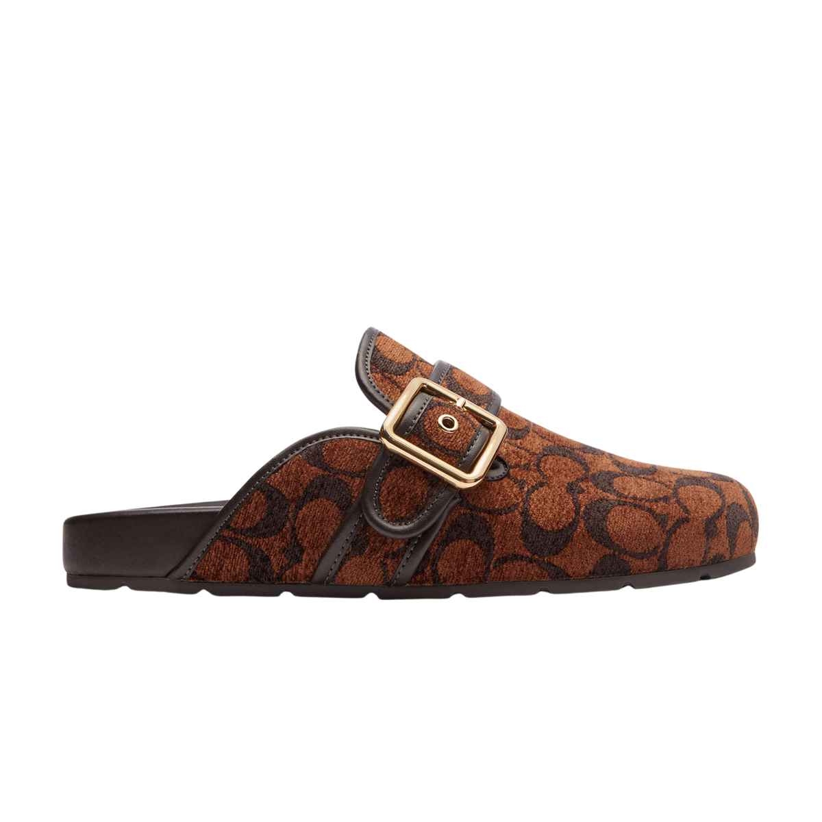 Coach Women's Archival Buckle Clog - Chenille Truffle