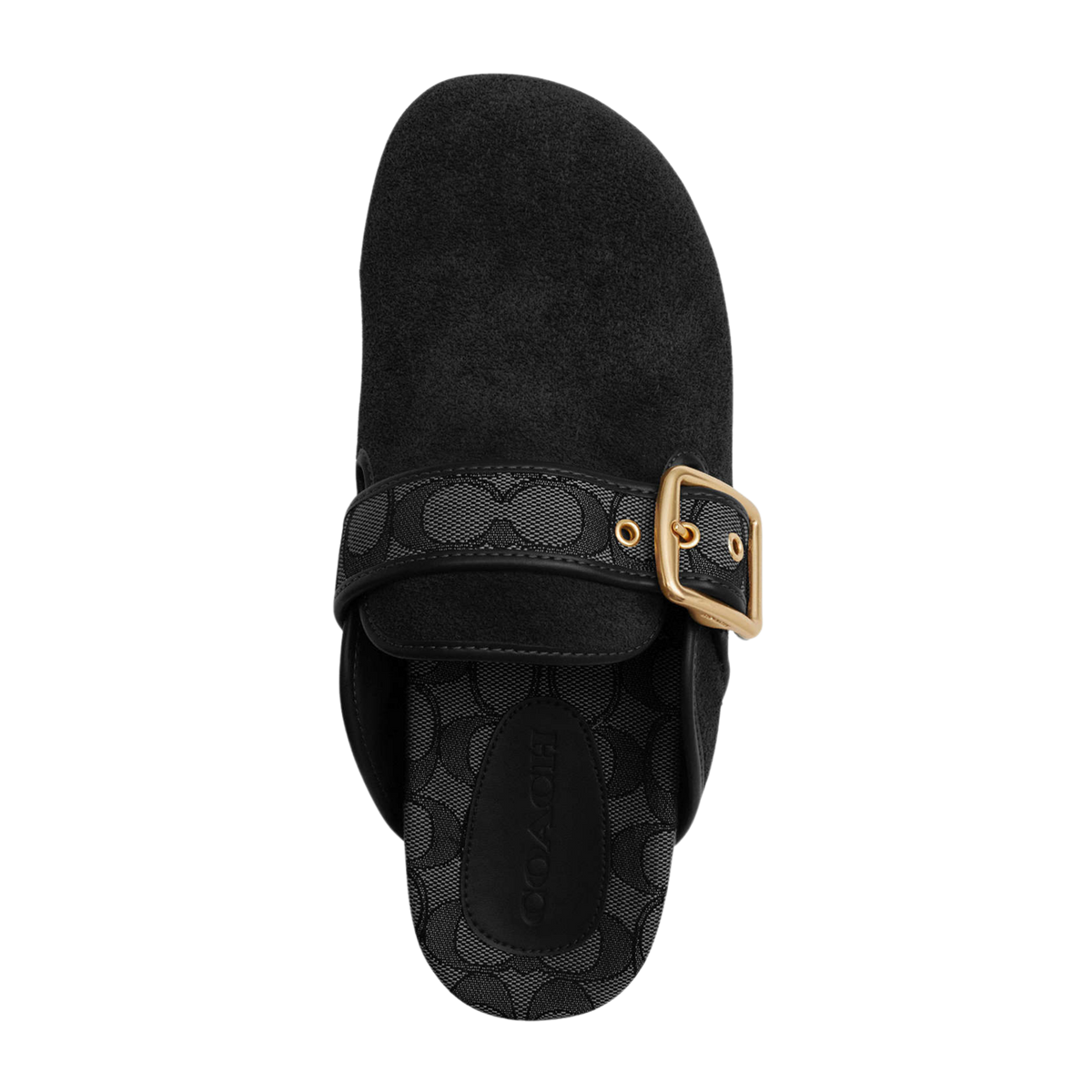 Coach Women's Archival Buckle Clog - Suede Black