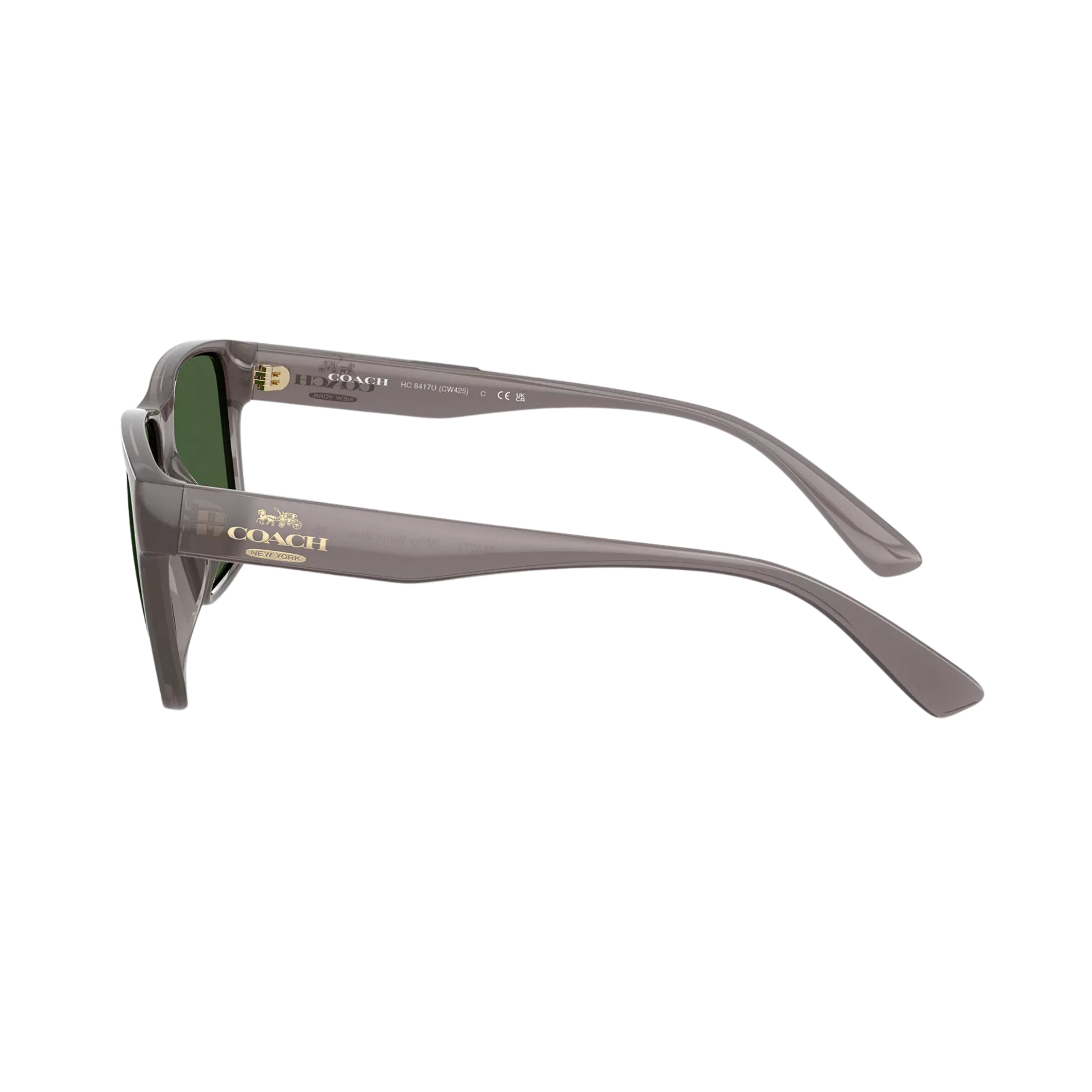 Coach Men Square Sunglasses - Transparent Gray