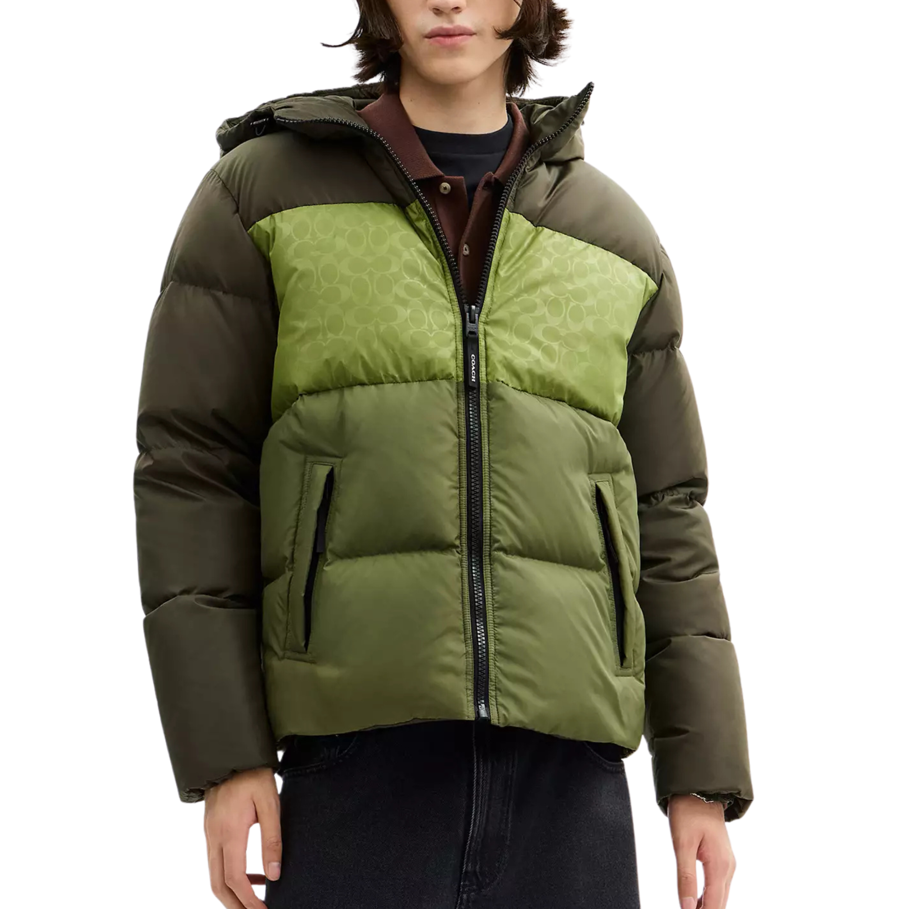 Coach Men Down Jacket - Green Multi