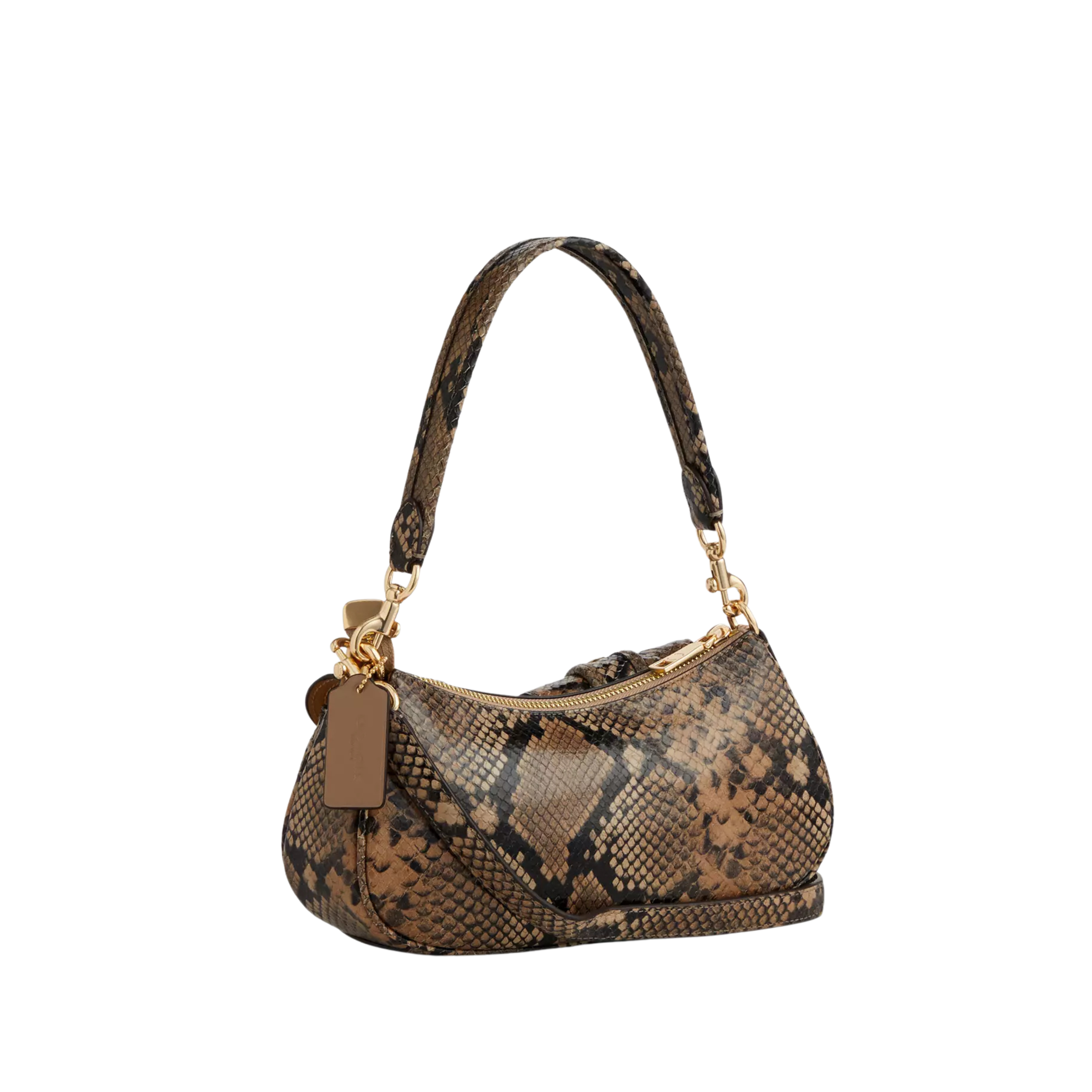 Coach Women Ashton Bag - Mushroom