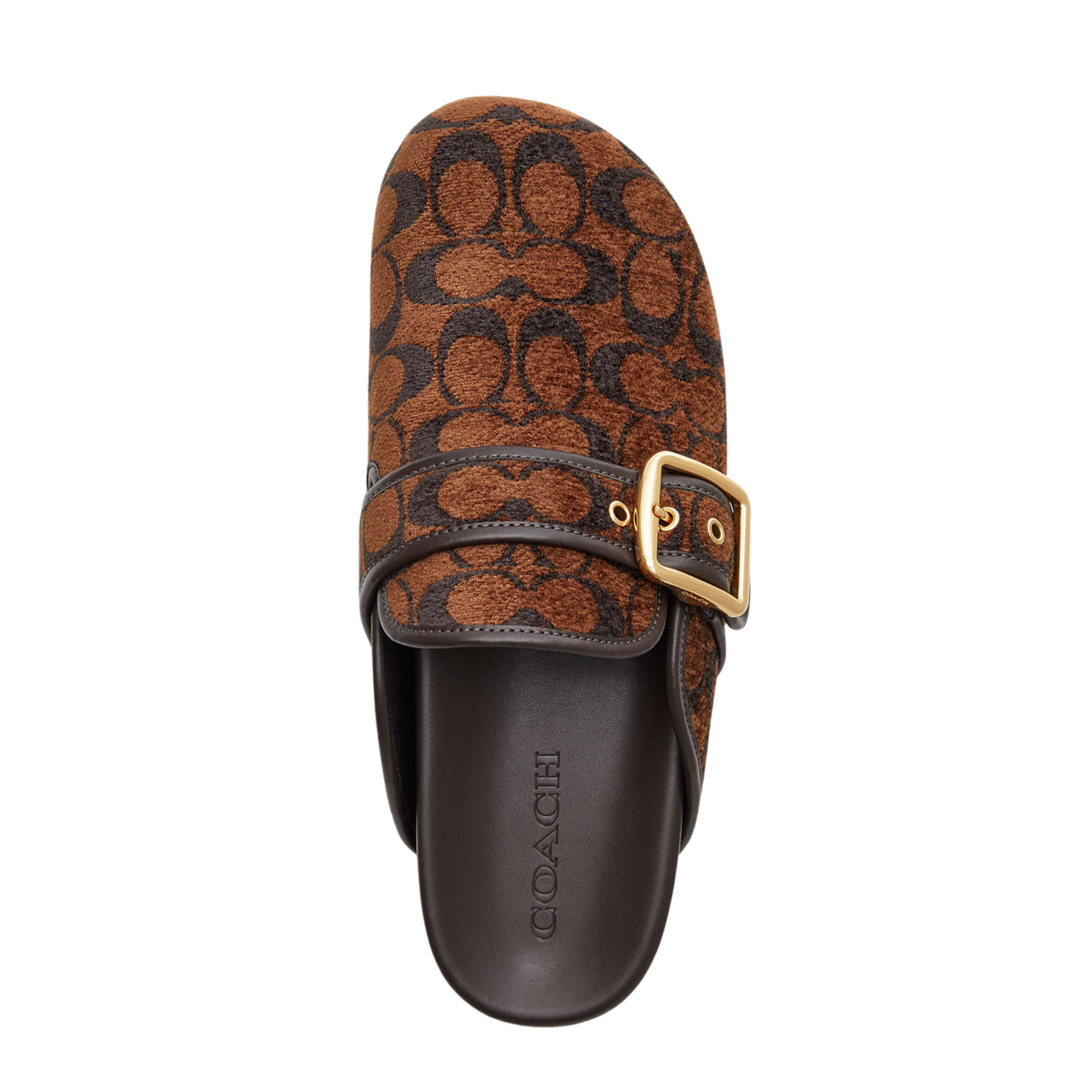 Coach Women's Archival Buckle Clog  - Chenille Truffle