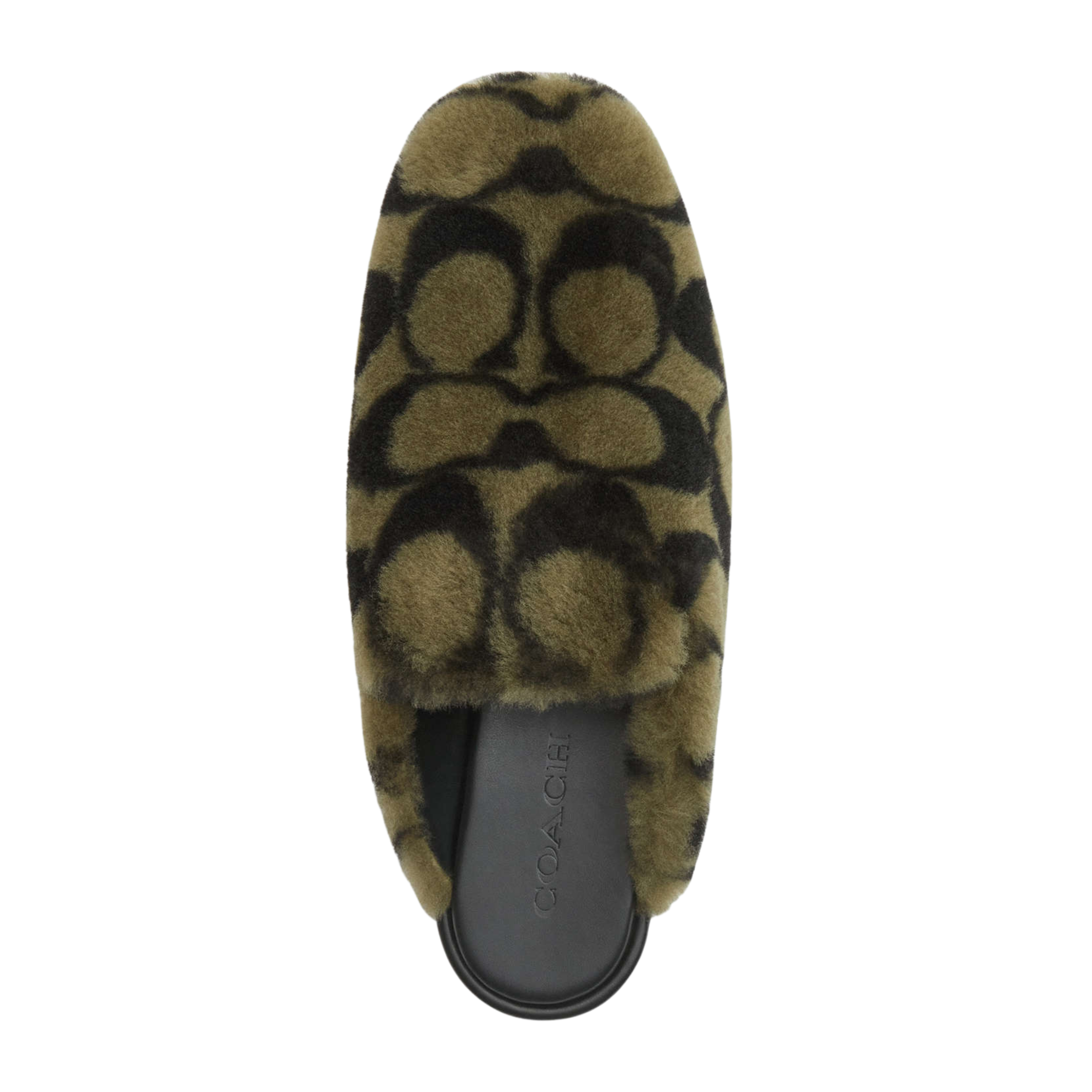 Coach Women's Slipper - Olive
