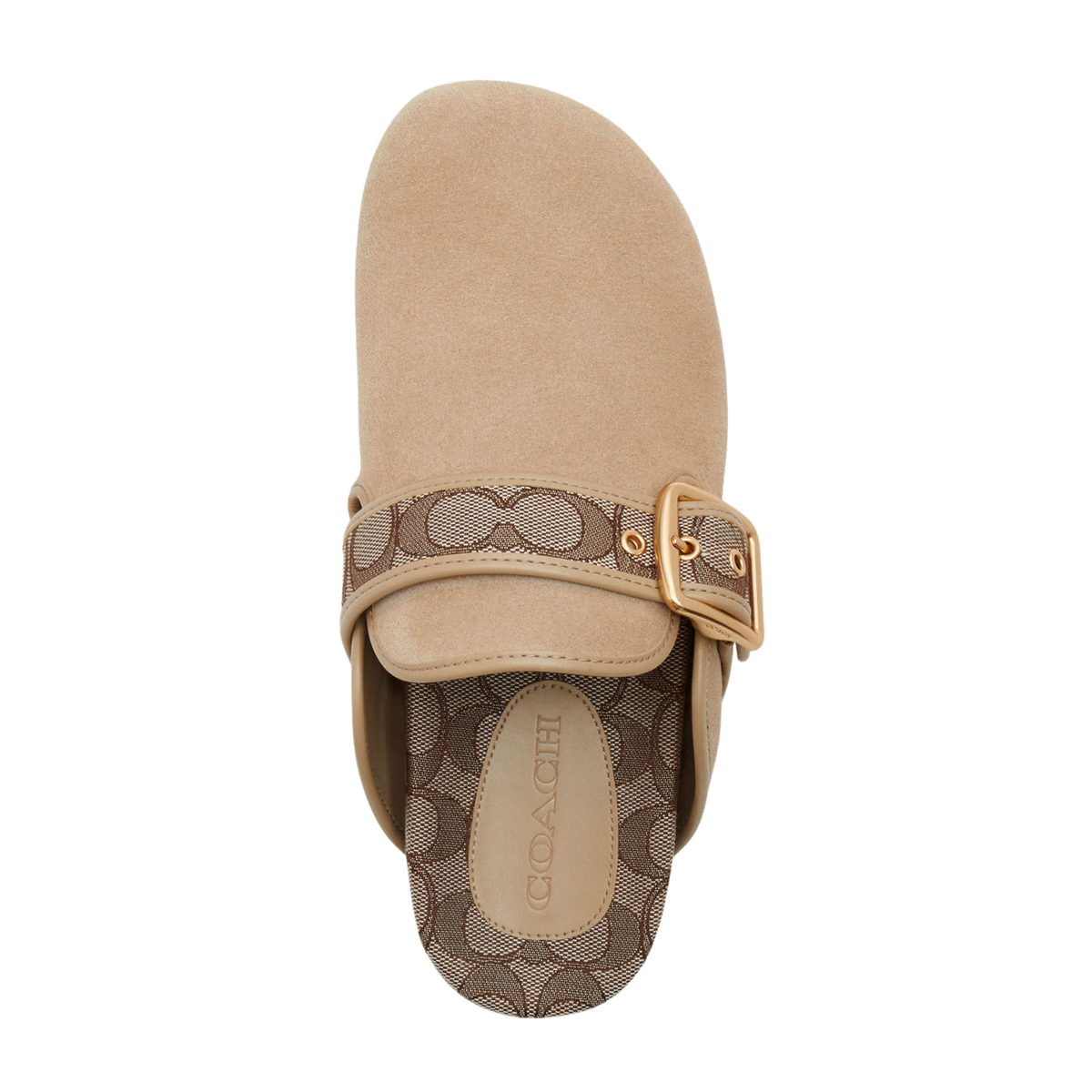 Coach Women's Archival Buckle Clog  - Suede Oat