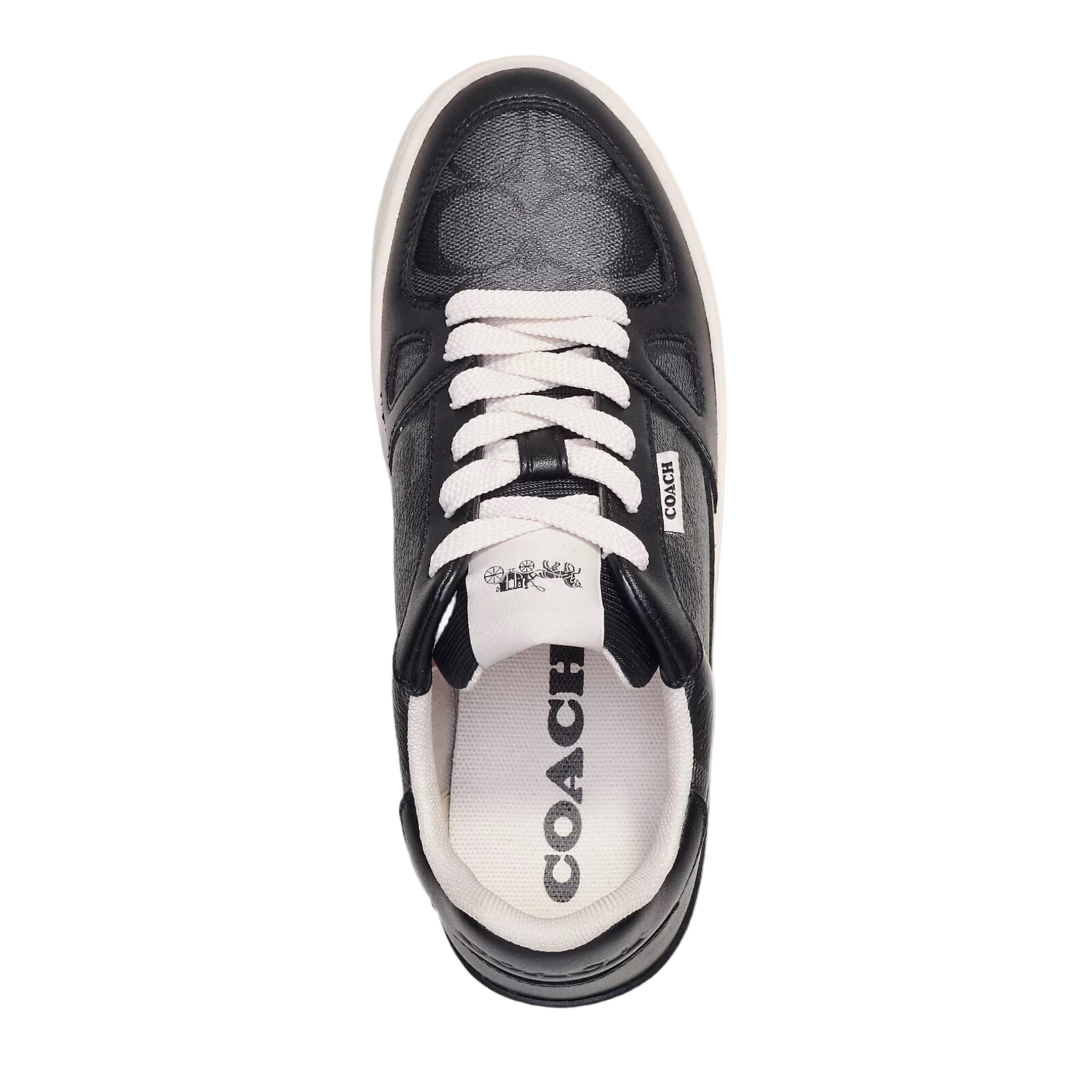 Coach Women's Clip Court Sneaker - Black