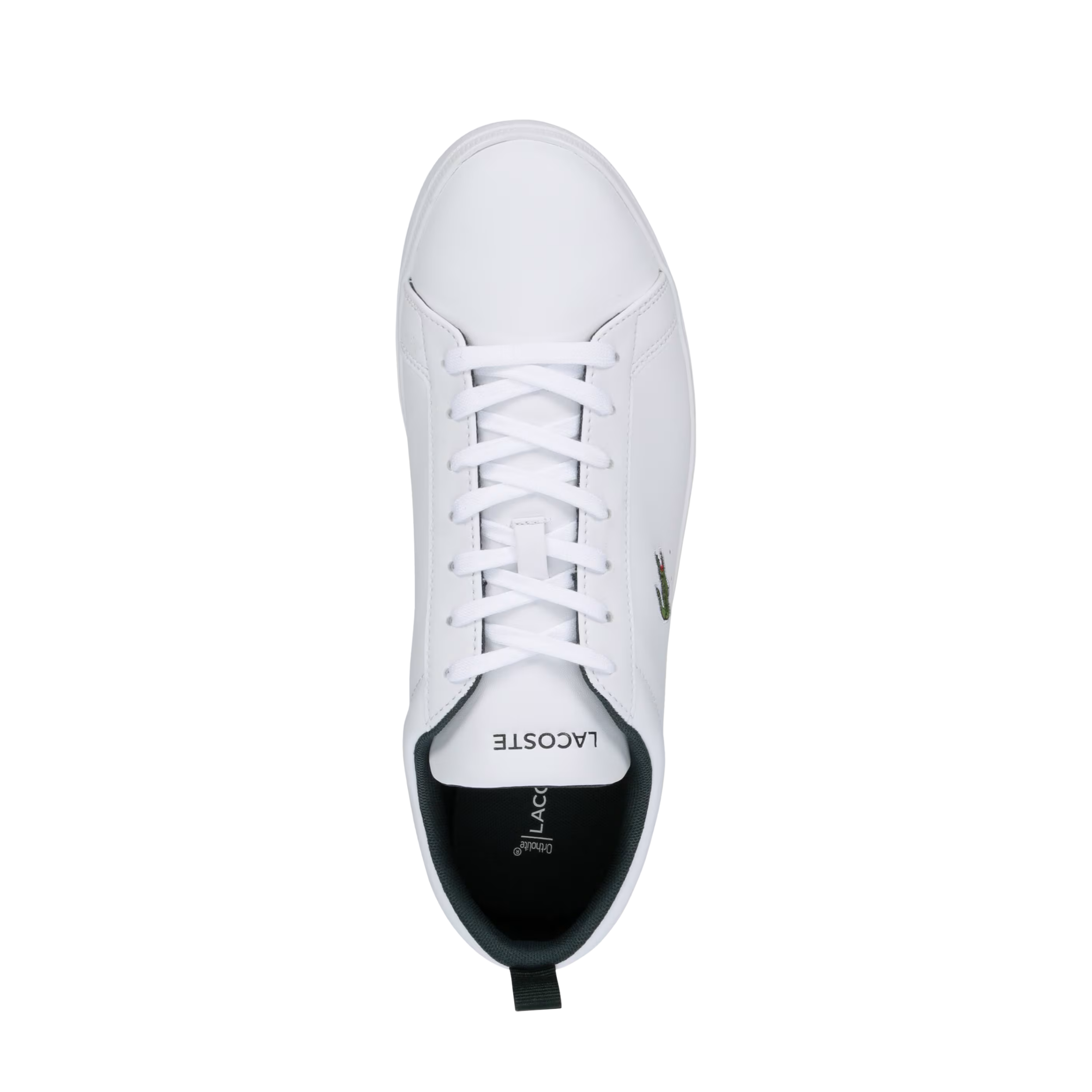 Lacoste Men Carnabase Sneaker - White