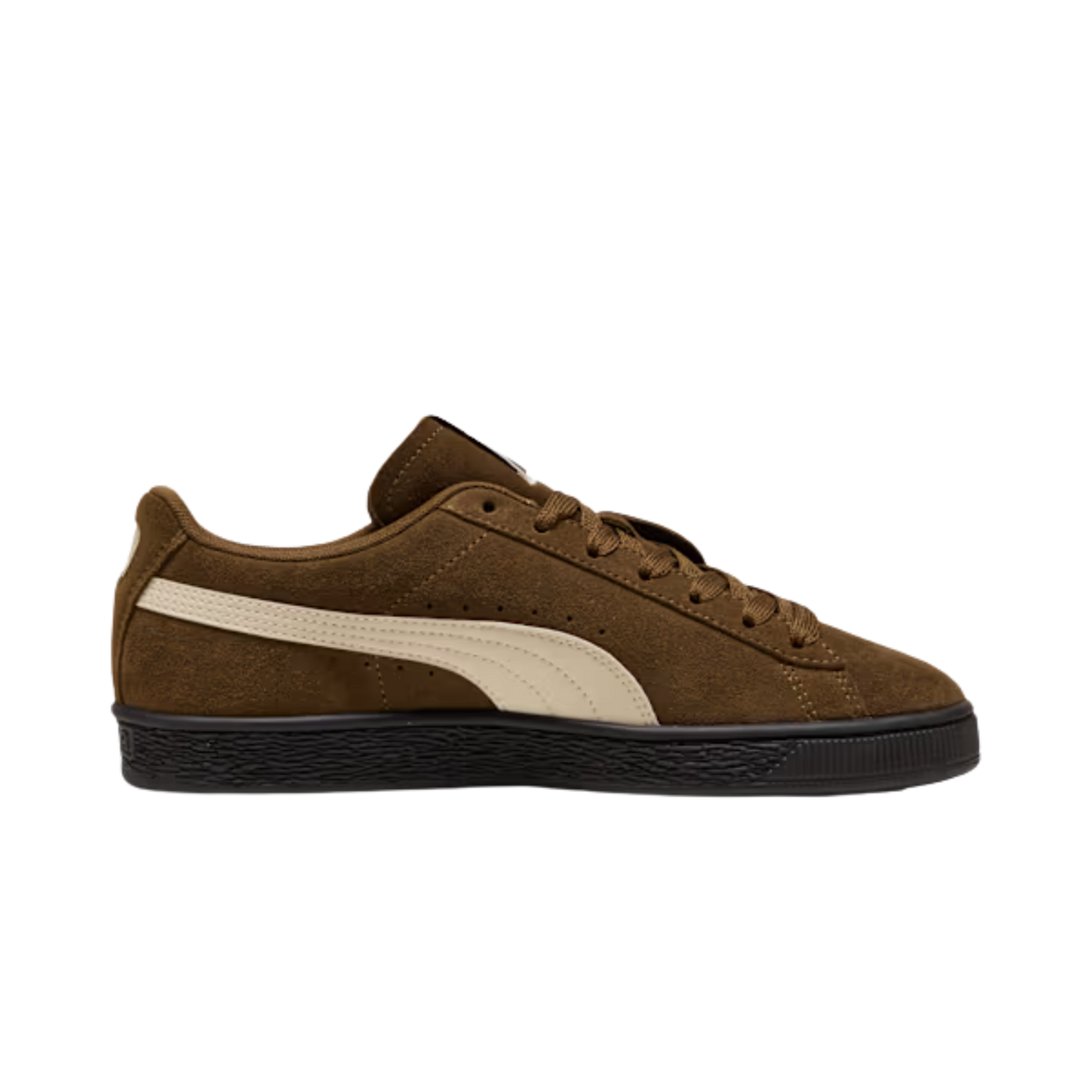 Puma Men Suede Charles F Stead Sneakers - Aged Copper Alpine Snow