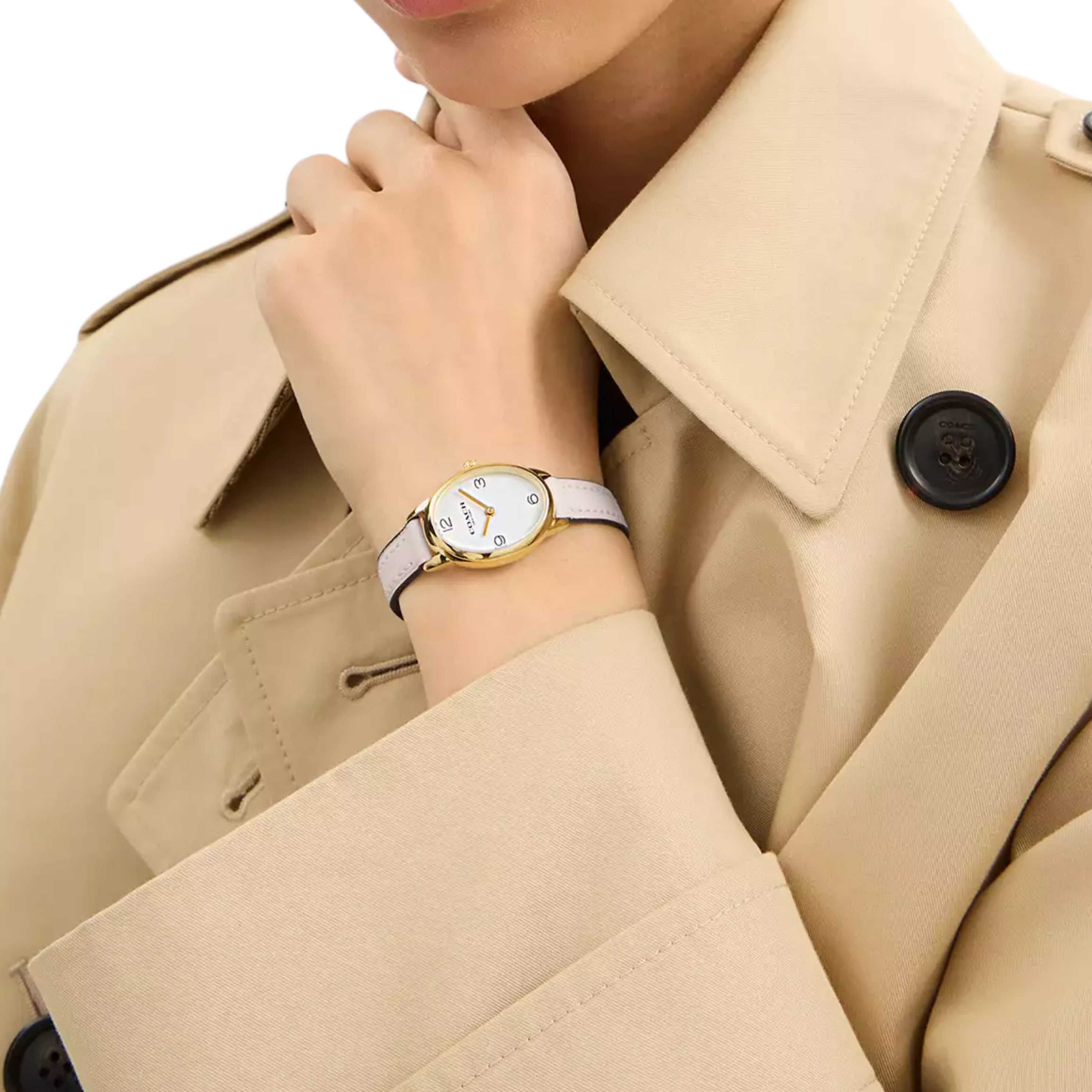 Coach Women Talia Watch 22 Mm - Chalk