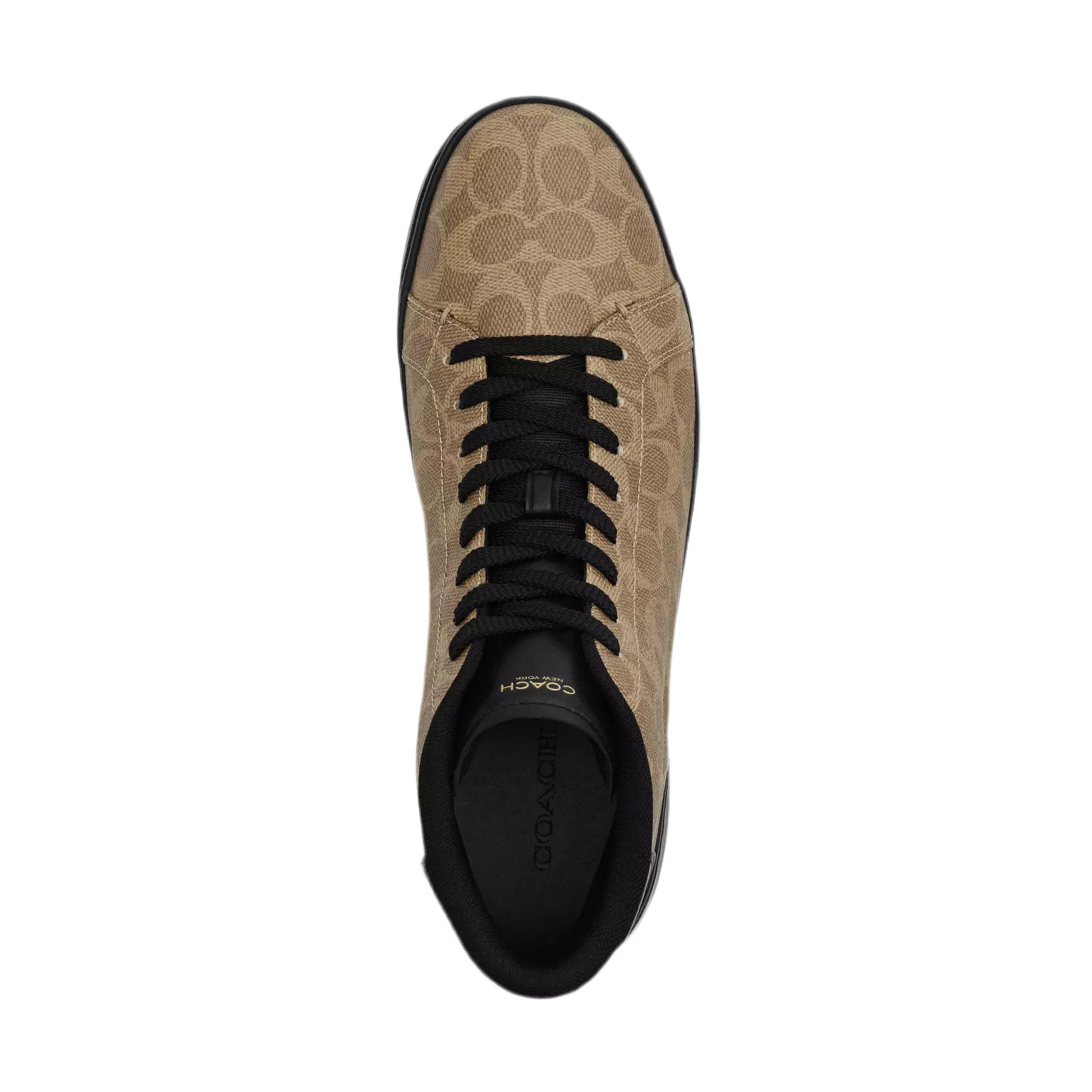 Coach Men's High Line High Top Sneaker -  Khaki Black